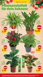 Garten im Penny Prospekt in Lüdenscheid Aktueller Penny Prospekt mit Garten, "Wer günstig will, muss Penny.", Seite 44