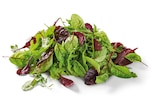 Lidl - Salat-Mix Angebot im Prospekt Salat-Mix bei Lidl im Prospekt "" für 0,99 €