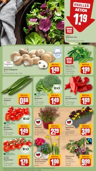 Käse im REWE Prospekt "Dein Markt" mit 24 Seiten (München)