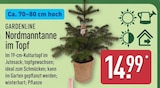 Nordmanntanne im Topf von Gardenline im aktuellen ALDI Nord Prospekt für 14,99 €