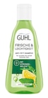 Shampoo von Guhl im aktuellen Rossmann Prospekt