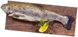Aktuelle Fisch Angebote bei REWE in Recklinghausen Aktuelles Regenbogenforelle Angebot bei REWE in Recklinghausen ab 1,19 €