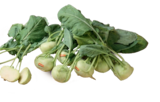 Bio-Kohlrabi im tegut Prospekt Bio-Kohlrabi von demeter im aktuellen tegut Prospekt für 0,99 €