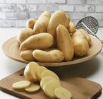 Pomme de terre de consommation à chair ferme Princesse Amandine - Super U à Montpellier Pomme de terre de consommation à chair ferme Princesse Amandine en promo chez Super U Montpellier à 3,19 €