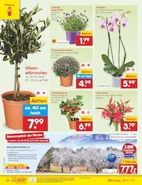 Geschenkartikel im Netto Marken-Discount Prospekt Geschenkartikel im Netto Marken-Discount Prospekt "Aktuelle Angebote" auf Seite 40