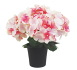 Composition 7 hortensias en promo chez Maxi Bazar Neuilly-sur-Seine à 19,99 €