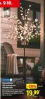 LED-Lichterbaum 120/200 LEDs Angebote von Livarno Home bei Lidl Bad Homburg für 19,99 €