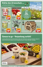 Lavendel im REWE Prospekt in Braunschweig Aktueller REWE Prospekt mit Lavendel, "Dein Markt", Seite 29