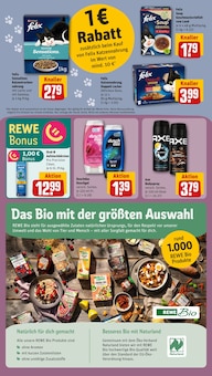 Katzenfutter im aktuellen REWE Prospekt (Pforzheim) Katzenfutter im REWE Prospekt "Dein Markt" mit 20 Seiten (Pforzheim)