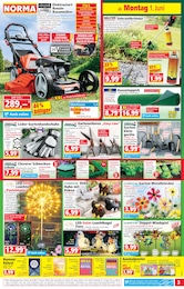 Bilder Angebot im aktuellen Norma Prospekt auf Seite 3