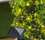 Solar-Metalldraht-Lichterkette Angebote bei Rossmann Mönchengladbach für 4,99 €