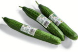 Bio-Gurken bei Netto Marken-Discount im Prospekt "" für 0,99 €