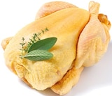 Frisches spanisches Maishähnchen für 5,49 € bei Netto mit dem Scottie im Angebot Frisches spanisches Maishähnchen im aktuellen Netto mit dem Scottie Prospekt