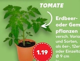 Erdbeer- oder Gemüsepflanzen Angebote bei Kaufland Essen für 1,19 €