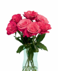 Aktuelle Pflanzen Angebote bei Netto Marken-Discount in Bremen Aktuelles Großköpfige Hochland Rosen Angebot bei Netto Marken-Discount in Bremen ab 4,44 €