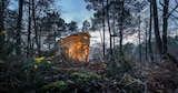 Freilaufende Rehe, Baumhäuser und die Schönheit der Vienne-Landschaft von Le Bois aux Daims im aktuellen Center Parcs Prospekt für 301,00 €