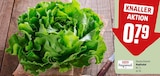 Aktuelle Gemüse Angebote bei REWE in Karlsruhe Aktuelles Kopfsalat Angebot bei REWE in Karlsruhe ab 0,79 €