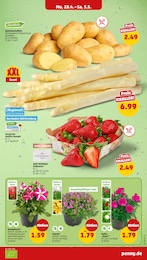 Erdbeeren Angebot im aktuellen Penny Prospekt auf Seite 3