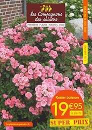 Catalogue Jardineries & Animaleries de Les Compagnons des saisons à Saint-Renan, avec 8 pages Prospectus Jardineries & Animaleries de Les Compagnons des saisons à Saint-Renan: "les Compagnons des saisons", 8 pages, 16/05/2025 - 26/05/2025