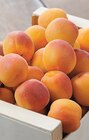 Promo Abricots à 2,49 € dans le catalogue Intermarché Contact à Montpellier