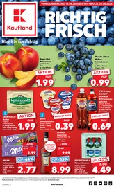 Aktueller Kaufland Supermarkt Prospekt in Sulz und Umgebung, "Aktuelle Angebote" mit 58 Seiten, 14.08.2025 - 20.08.2025