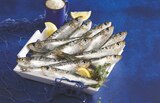 Sardine - Super U à Champigny-sur-Marne Sardine en promo chez Super U Champigny-sur-Marne à 3,75 €