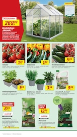 Aktueller toom Baumarkt Prospekt mit Gemüse, "Respekt, wer's selber macht.", Seite 12