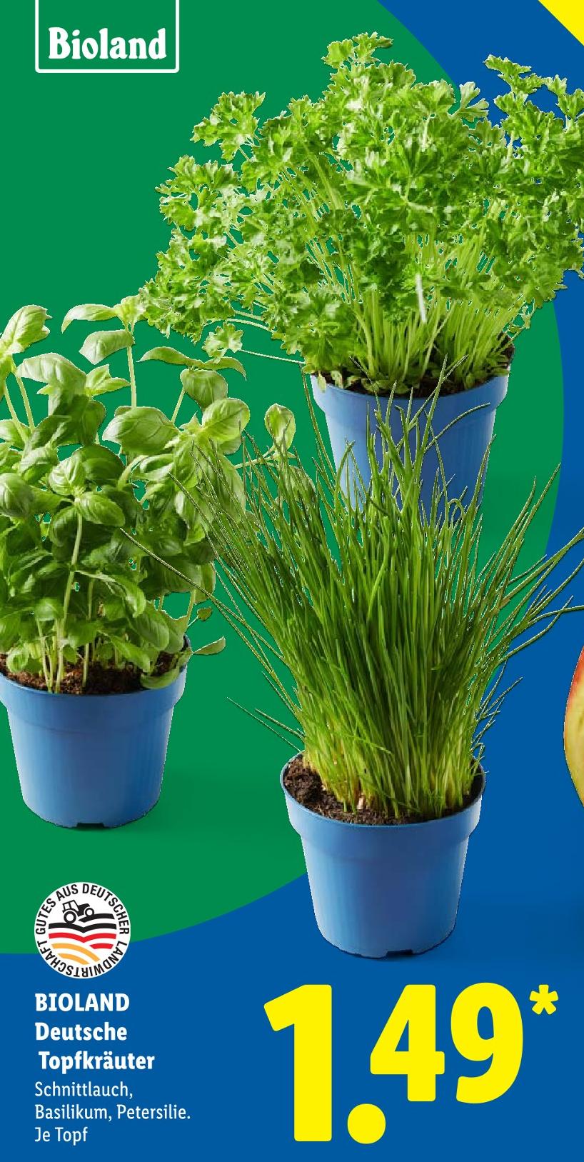 Deutsche Topfkräuter