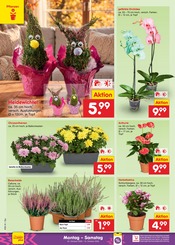 Garten im Netto Marken-Discount Prospekt in Freiberg Aktueller Netto Marken-Discount Prospekt mit Garten, "Aktuelle Angebote", Seite 40