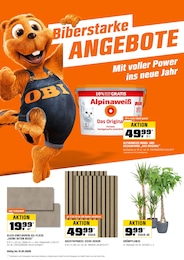 OBI Streichen im Prospekt 