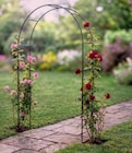 Rosenbogen York 140 x 38 x 240 cm Angebote von toom bei toom Baumarkt Erlangen für 19,99 €