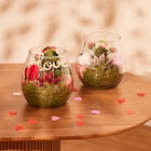 Promo Terrarium à 11,99 € dans le catalogue Carrefour à Marseille