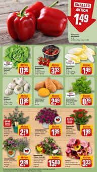 Kartoffeln im REWE Prospekt "Dein Markt" mit 26 Seiten (Mönchengladbach)