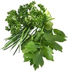 Ital./span. Kräuter  im aktuellen Kaufland Prospekt für 0,69 €