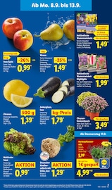 Aktueller Lidl Prospekt mit Blumenzwiebeln, "LIDL LOHNT SICH", Seite 3