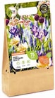 BLUMENZWIEBEL KOLLEKTION BIENEN UND SCHMETTERLINGE Angebote von GROW BY OBI bei OBI Mülheim für 9,99 €