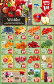 Ähnliche Blumenzwiebeln Angebote im Prospekt "Dein Markt" von REWE in Seevetal Ähnliche Angebote wie Blumenzwiebeln im Prospekt "Dein Markt" auf Seite 10 von REWE in Seevetal