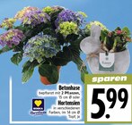 Betonhase im Angebot bei EDEKA in Gießen Betonhase Angebote von EDEKA Herzstücke bei EDEKA Gießen für 5,99 €