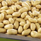 Promo POMME DE TERRE  (Les 1,5 kg) à 1,99 € dans le catalogue Grand Frais à Cormeilles-en-Parisis