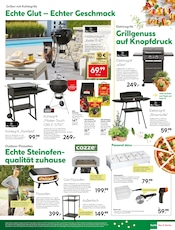 Aktueller BayWa Bau- und Gartenmärkte Prospekt mit Küche, "Wir feiern, Sie sparen!", Seite 17