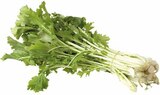 Aktuelle Gemüse Angebote bei EDEKA in Recklinghausen Aktuelles Stielmus Angebot bei EDEKA in Recklinghausen ab 2,22 €