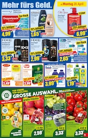 Aktueller Norma Prospekt mit Shampoo, "Mehr fürs Geld", Seite 9