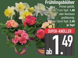 Frühlingsblüher von  im aktuellen EDEKA Prospekt für 1,49 €