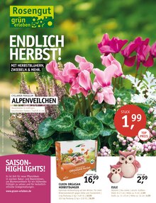 Pflanzen im ROSENGUT Langerwisch Prospekt "ENDLICH HERBST!" mit 12 Seiten (Potsdam)