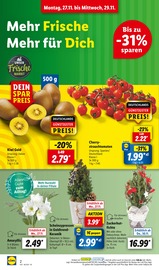 Garten im Lidl Prospekt in Bautzen Aktueller Lidl Prospekt mit Garten, "LIDL LOHNT SICH", Seite 6