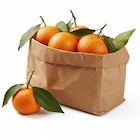 Lidl Roubaix - Promo Clementine Feuille Promo Clementine Feuille à 1,97 € dans le catalogue Lidl à Roubaix