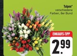 Tulpen Angebote bei E center Bamberg für 2,99 €