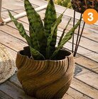 Cache-pot osier sur pied - B&M Cache-pot osier sur pied à 12,99 € dans le catalogue B&M