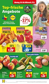 Aktueller Lidl Prospekt mit Blumenzwiebeln, "LIDL LOHNT SICH", Seite 2