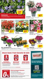 Aktueller toom Baumarkt Prospekt mit Blumen, "Respekt, wer's selber macht.", Seite 2